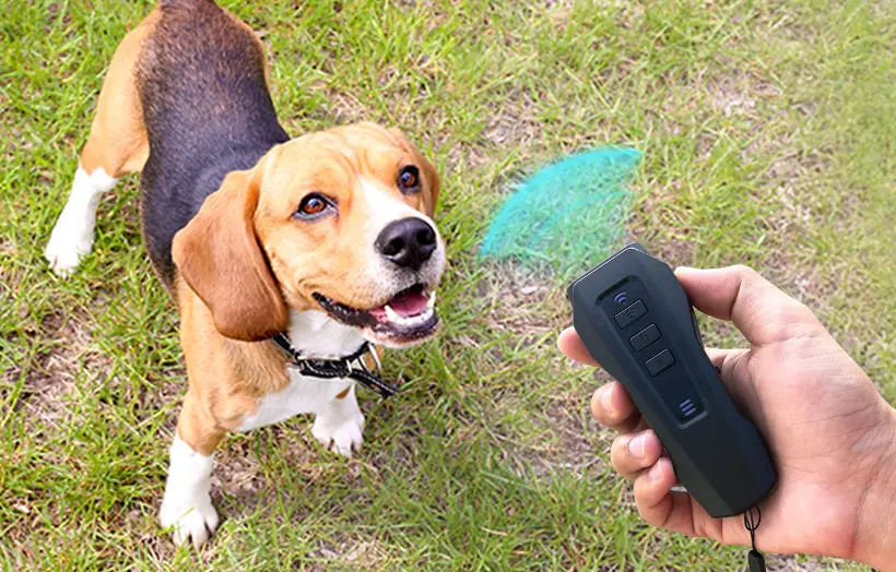 The Safe, Humane Way to Stop Barking & Bad Behavior—FAST!!!